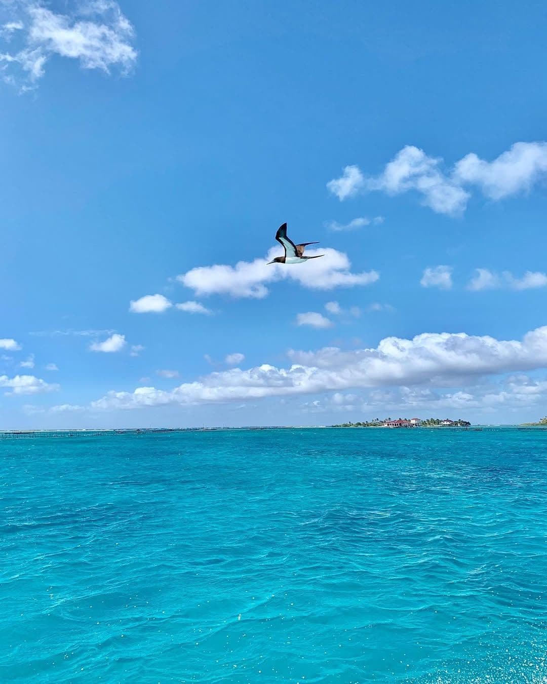 Lagon turquoise polynésien